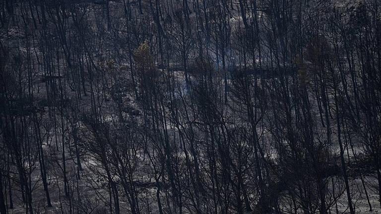 Un incendio forestal avanza con rapidez por el sur de Francia