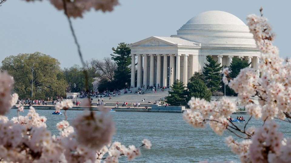 Cherry blossoms along the Tidal Basin near the Jefferson Memorial bring crowds to the National Mall in early spring. - Heather Diehl/Getty Images