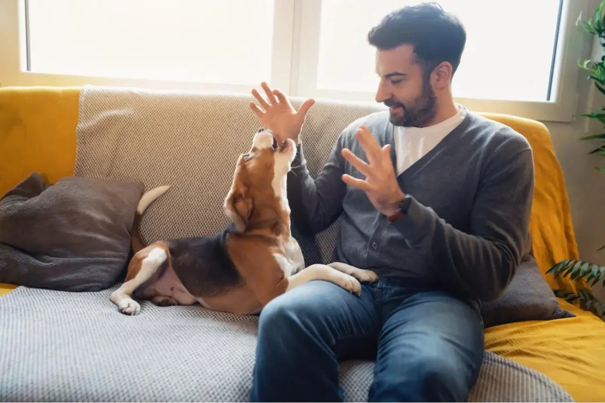 What your dog really senses about people will leave you speechless