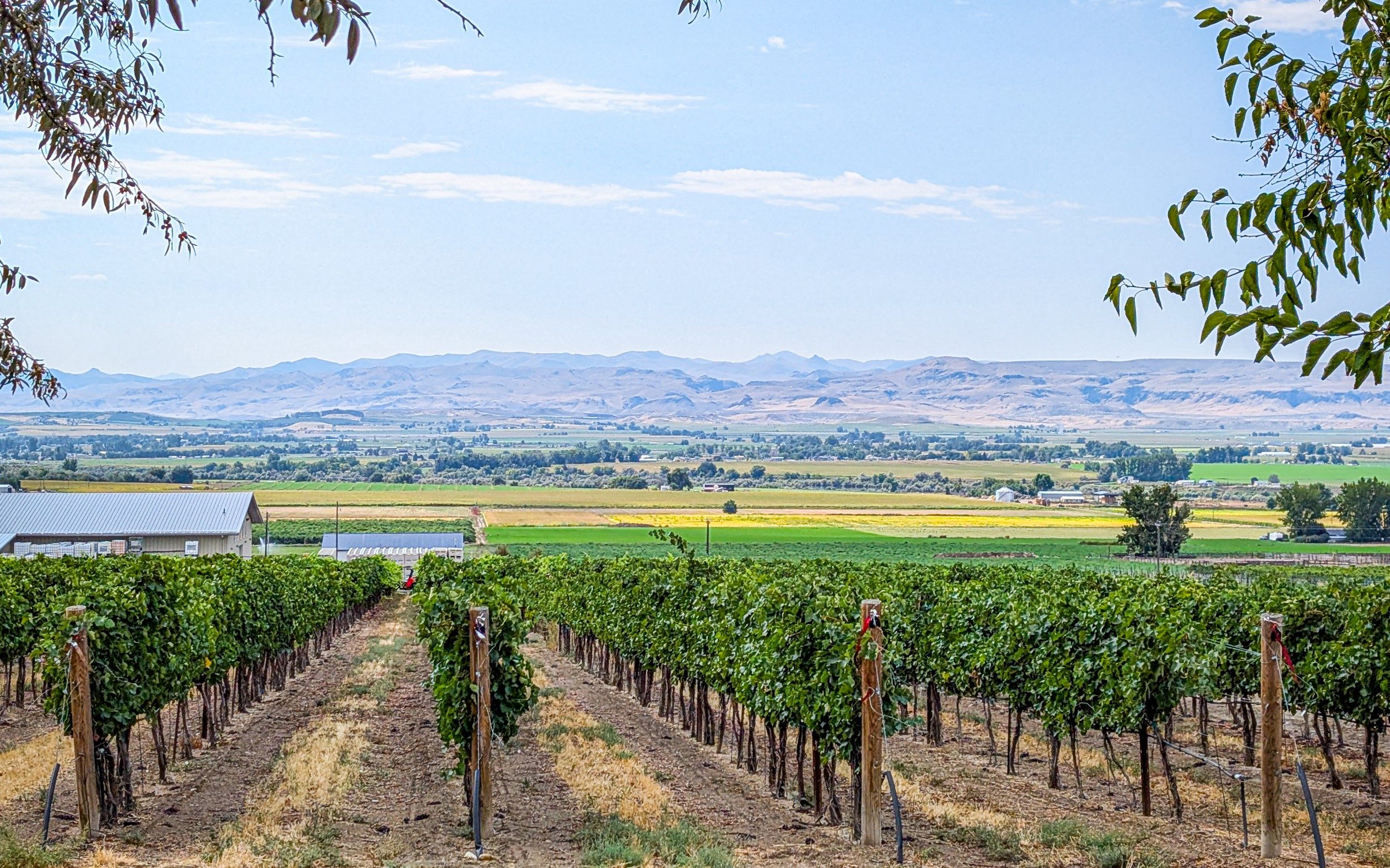 Devil's Bedstead Winery is the brainchild of Greg and Kristen Koenig