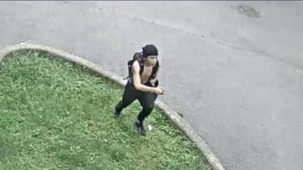 Police share new photos of 2nd suspect in South Boston lemonade stand ...