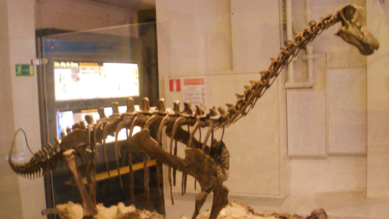 First Dinosaur Fossil Found in Korea in 15 Years