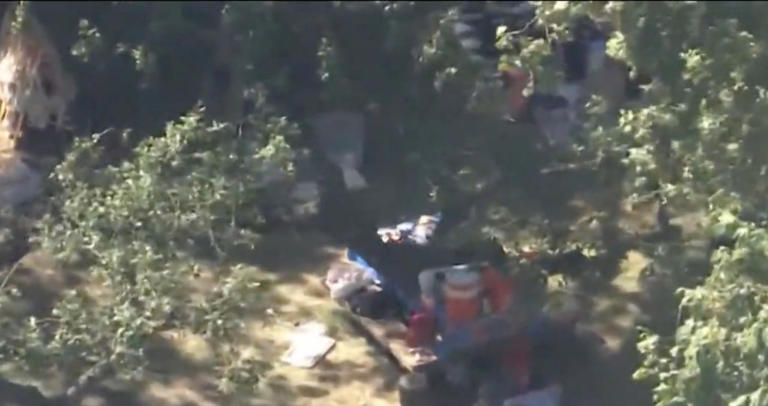 Family of boy, 8, killed by falling tree gets huge sum from California ...