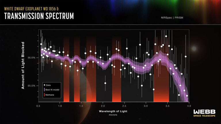 Planet found orbiting a dead star could preview what will happen to our ...
