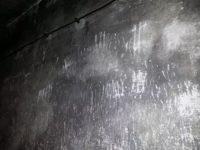 Unsettling Images: 25 Photos That Changed After a Second Look