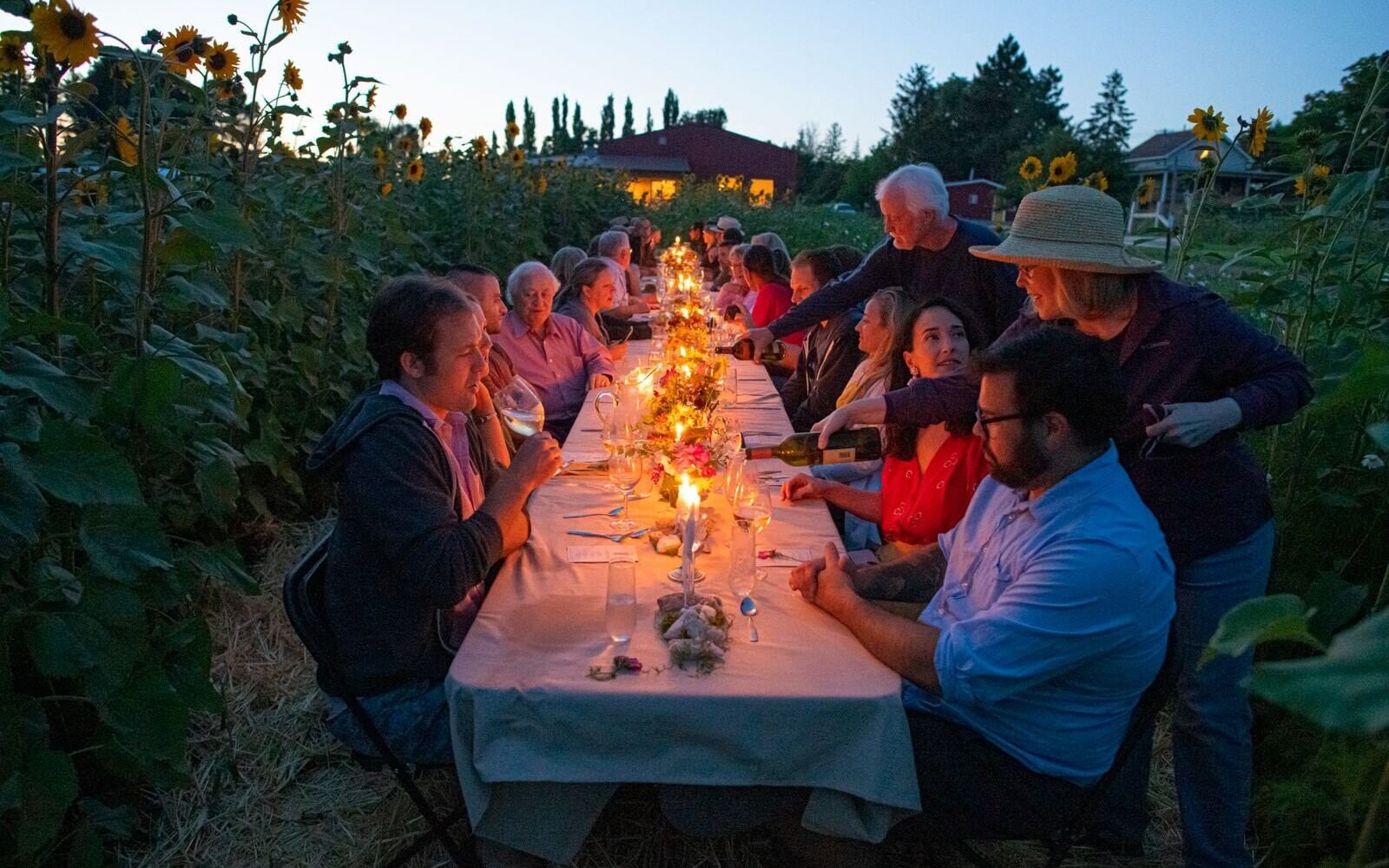 Peaceful Belly Farm is famous for its fork-to-farm dinners