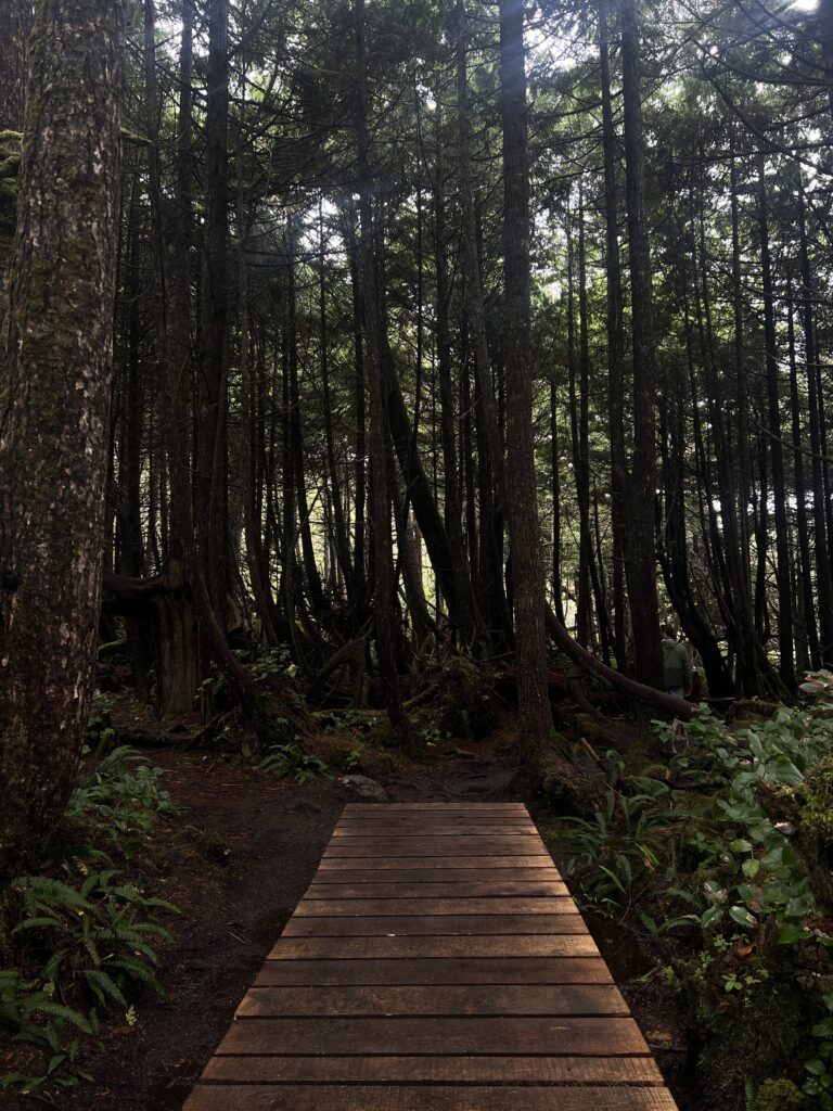 The wellness reason to spend time where trees smell strong