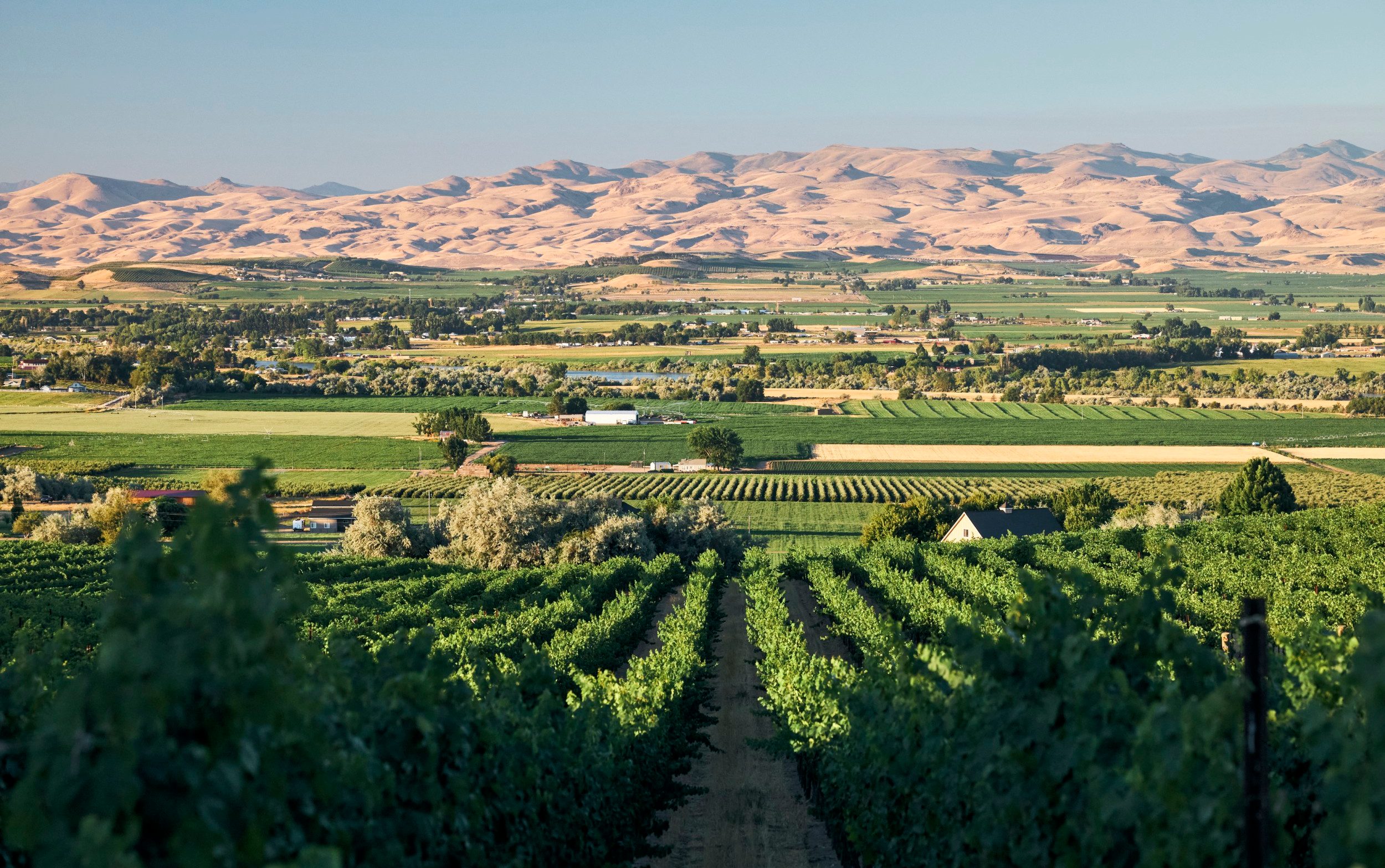 Gem 73 is the newest addition to the Sunnyslope wine region in Idaho's Snake River Valley