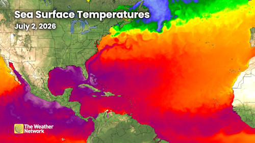 World’s oceans hit hottest June on record as marine heat waves intensify