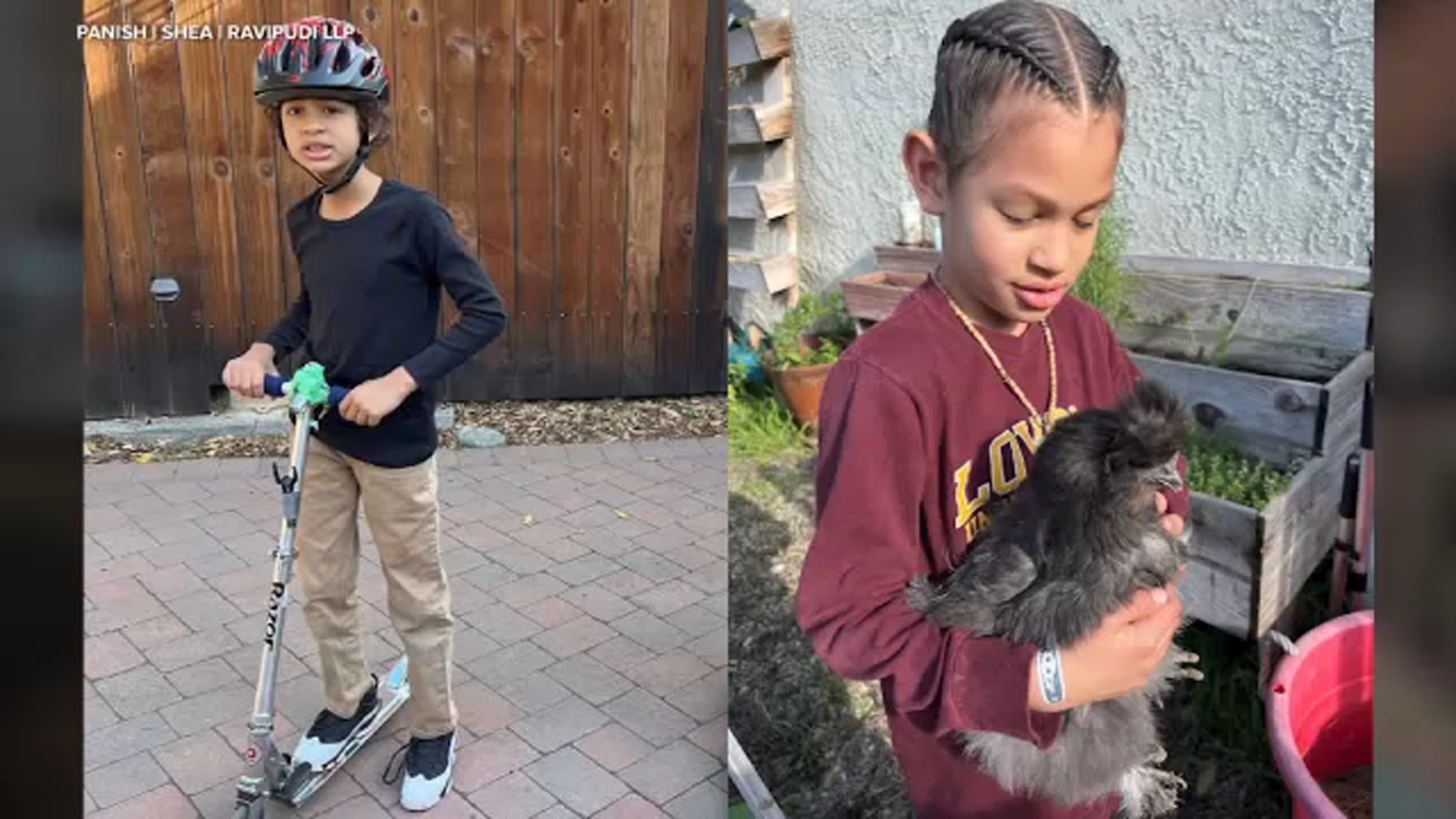 $19.3-million settlement reached after boy killed by falling tree ...