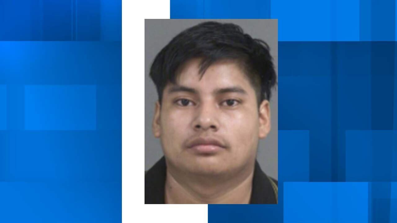 Police: North Charleston man arrested after pursuit ends in yard