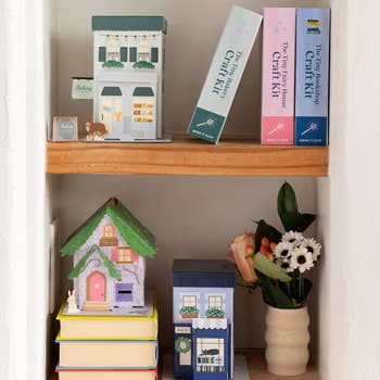 Books and craft kits on shelves with a miniature house and a vase of flowers beside them. Cozy, decorative setup