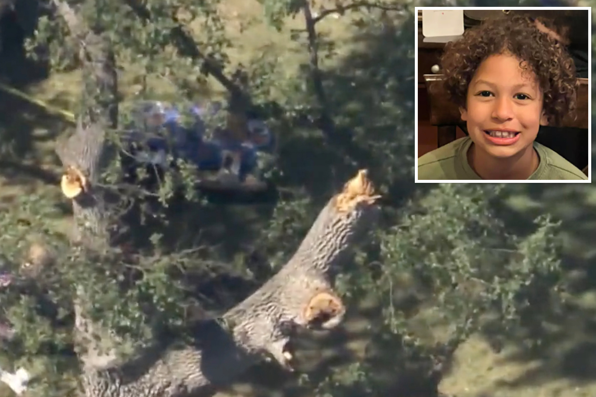 Family of boy, 8, killed by falling tree gets huge sum from California ...