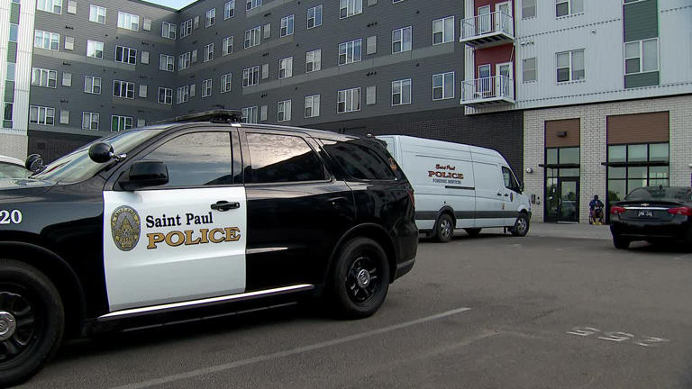 Mother and 6-year-old son identified as victims in St. Paul death ...