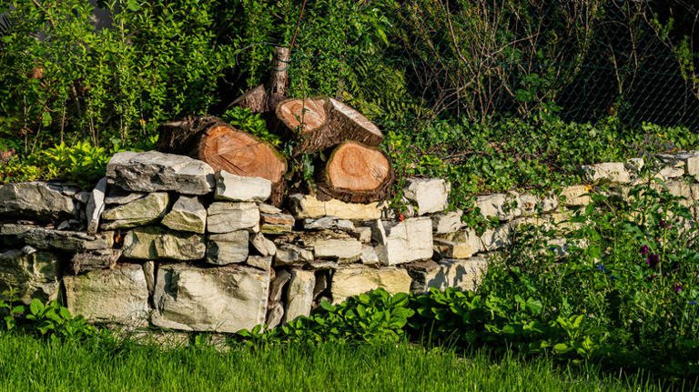 Use the old tree stump in your yard to DIY the most enchanting birdbath