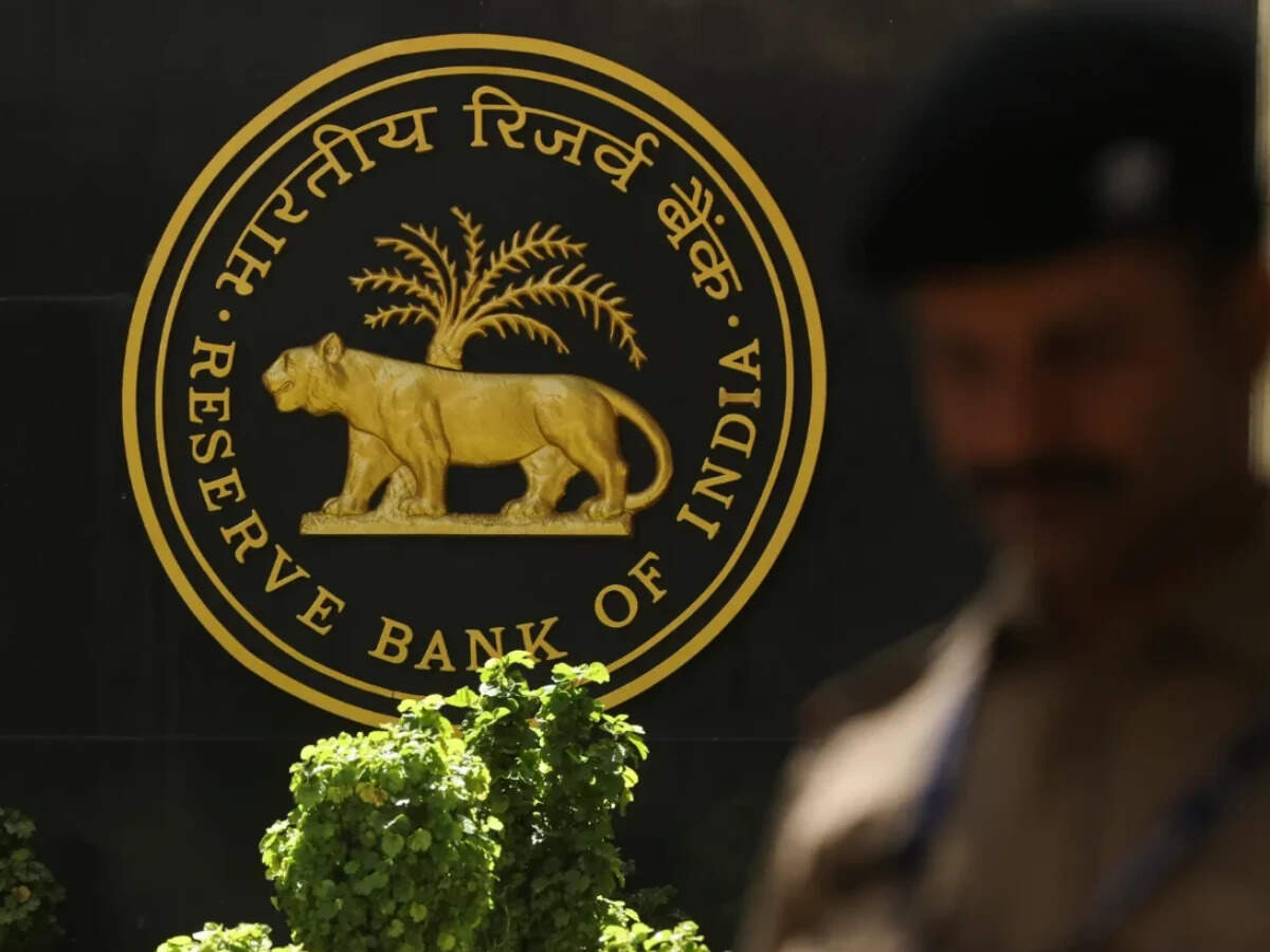 RBI tells parliamentary panel that virtual digital assets like ...