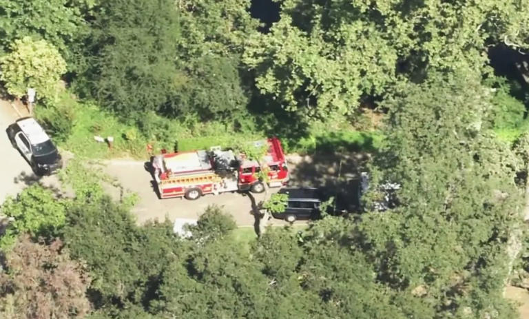 Family of boy, 8, killed by falling tree gets huge sum from California ...