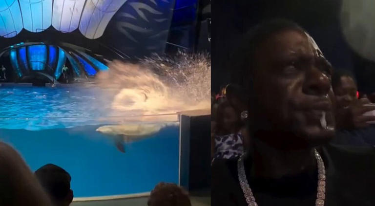 Boosie Badazz gets soaked by dolphin splash during family aquarium trip ...