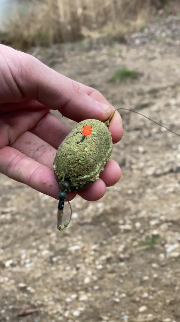 How beginners can build an effective carp rig
