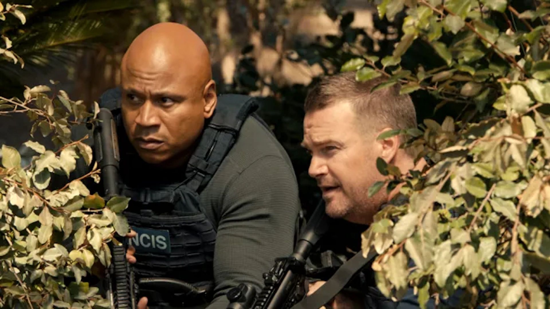 'NCIS' star returning to franchise after 3-year absence in all-new role