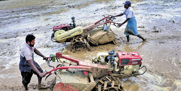 Karnataka government issues guidelines for digital crop survey