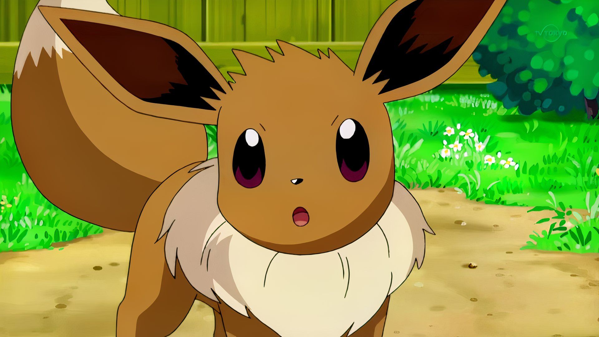 Pokémon unveils official Eevee release for 30th anniversary arriving ...