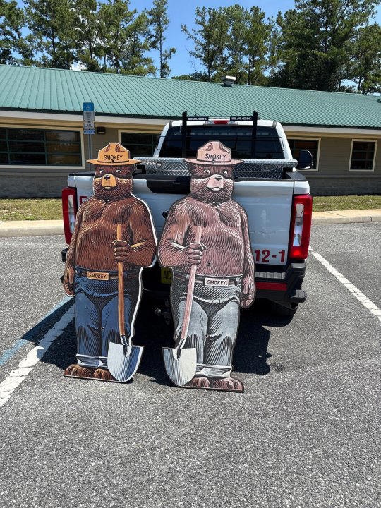 Florida man accused of stealing Smokey Bear signs could face up to 10 ...