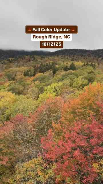 Rough Ridge on the Blue Ridge Parkway you need to see