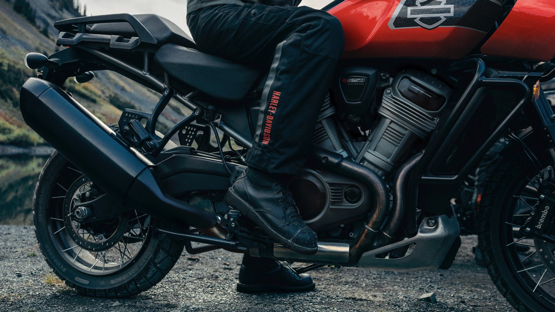 Harley-Davidson Pan America 1250 Special: The American motorcycle that ...
