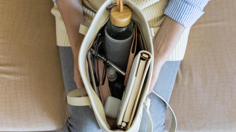 Ditch purse clutter: Keep items neat & tidy with an easy solution from ...