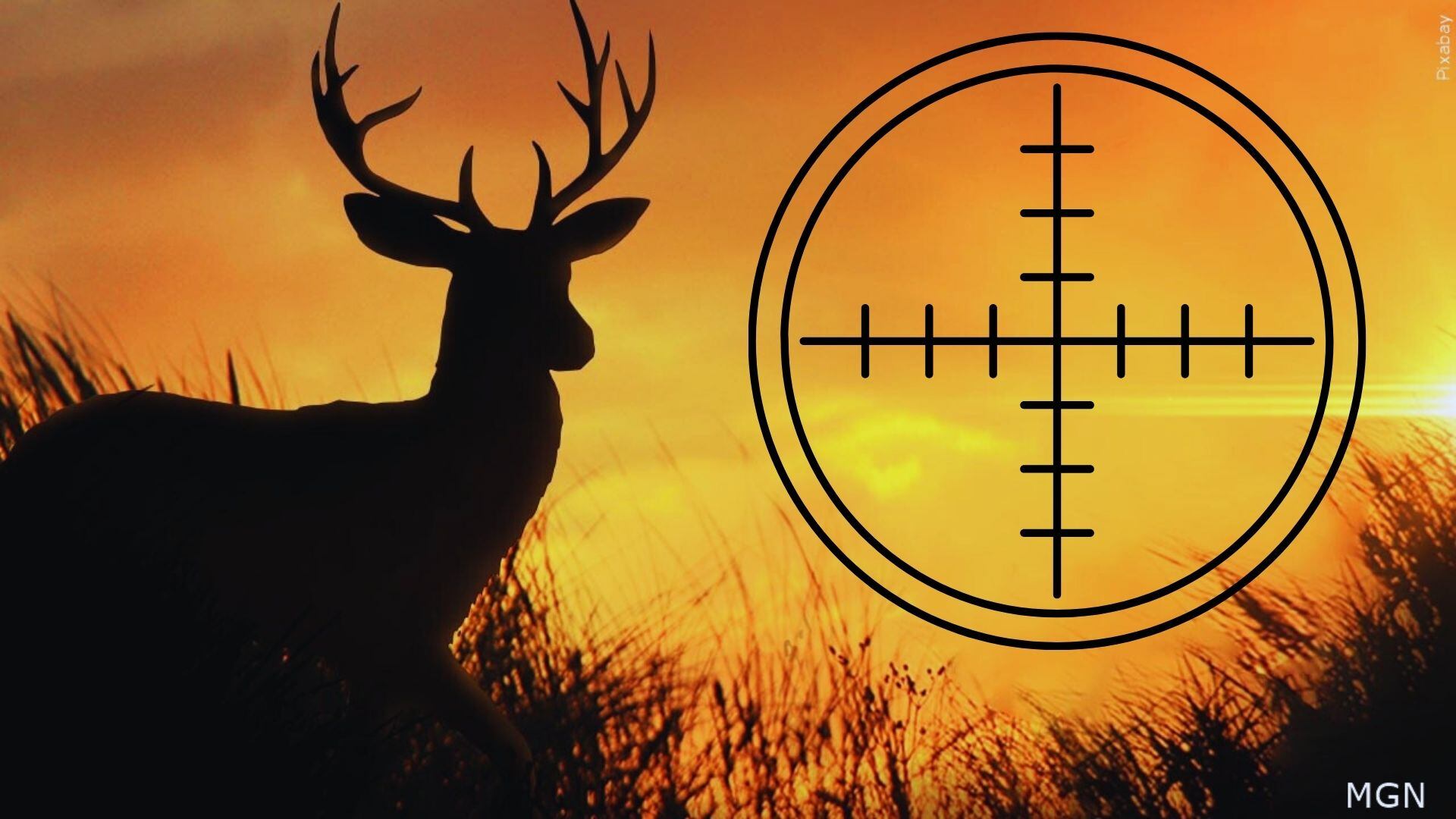Texas Parks and Wildlife accepting drawn hunt permit applications for ...