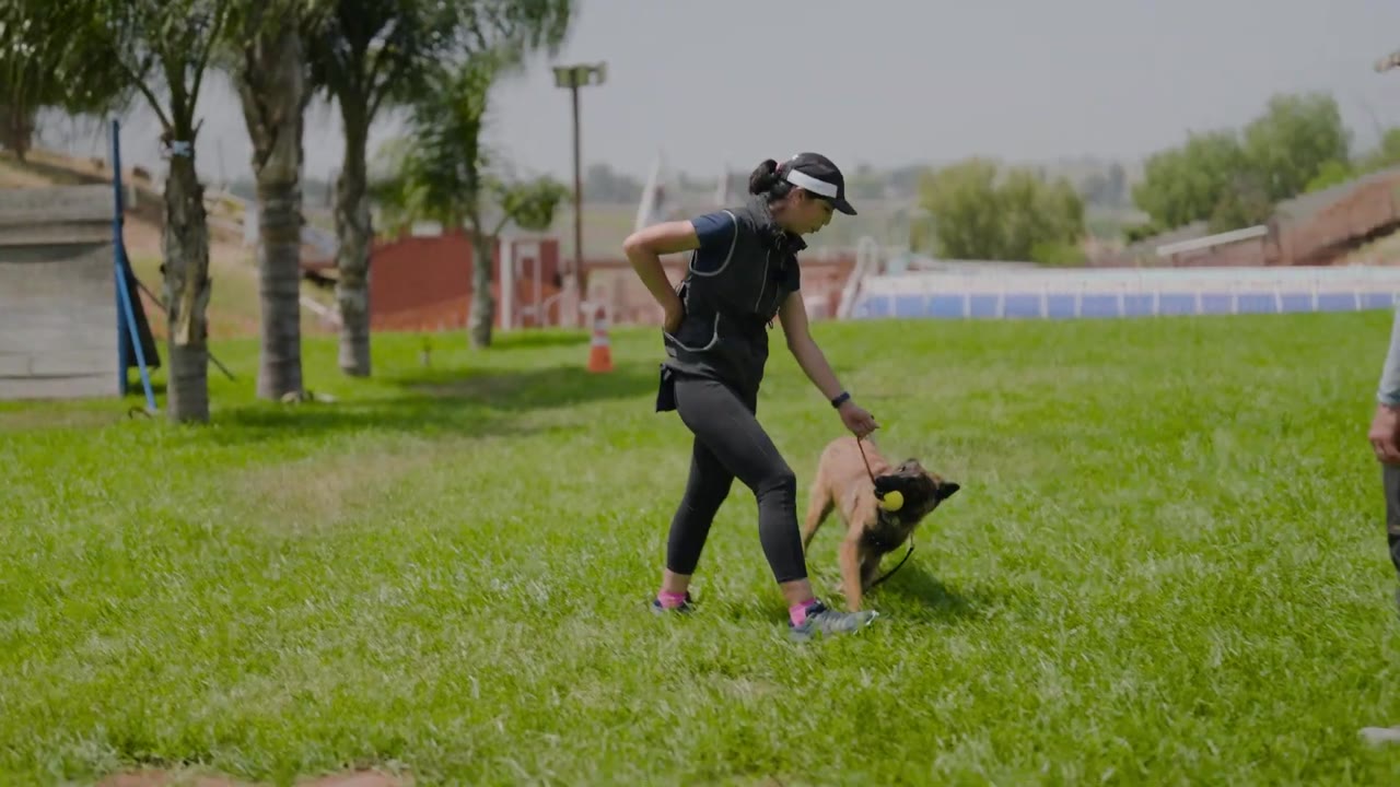 This training method challenges everything about dog speed