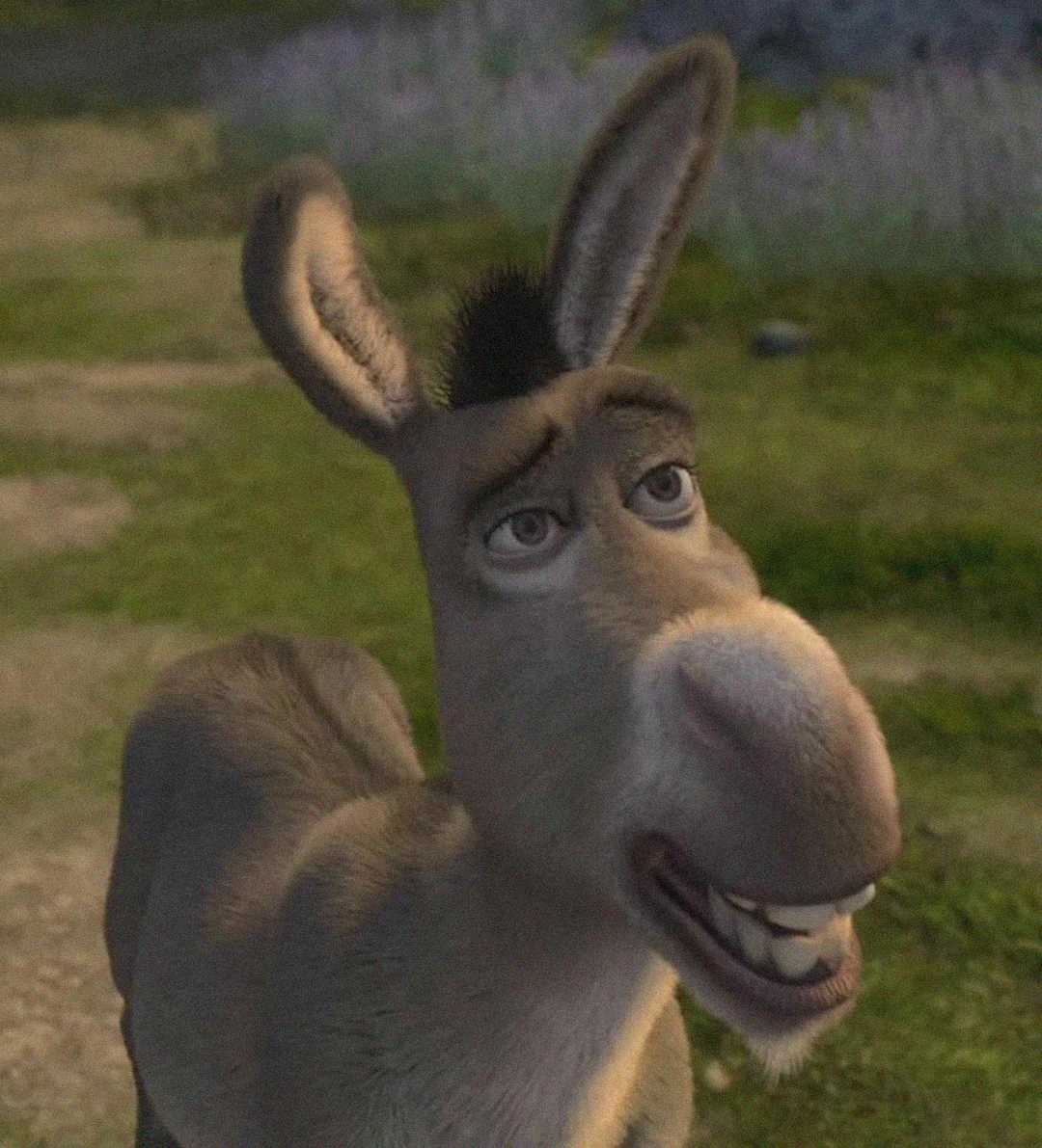 16 Shrek Quotes That Made The Movies Even More Memorable