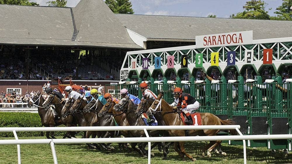 'Really excited': Owner Will Stroud brings passion for racing to Saratoga