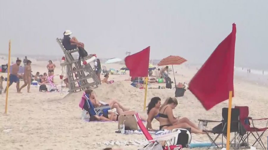 Shark bites swimmer at New York beach