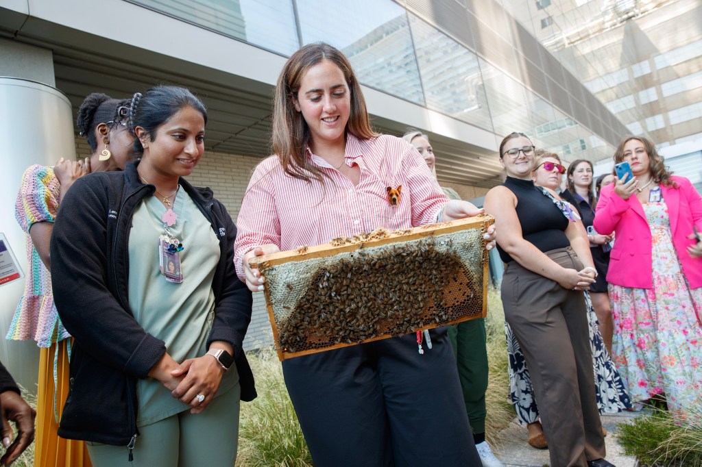 NYUBees11
