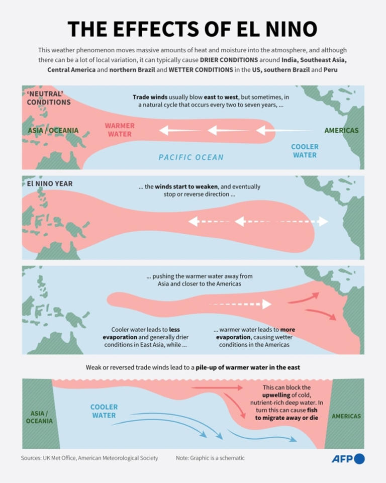 UN: El Niño to be strong