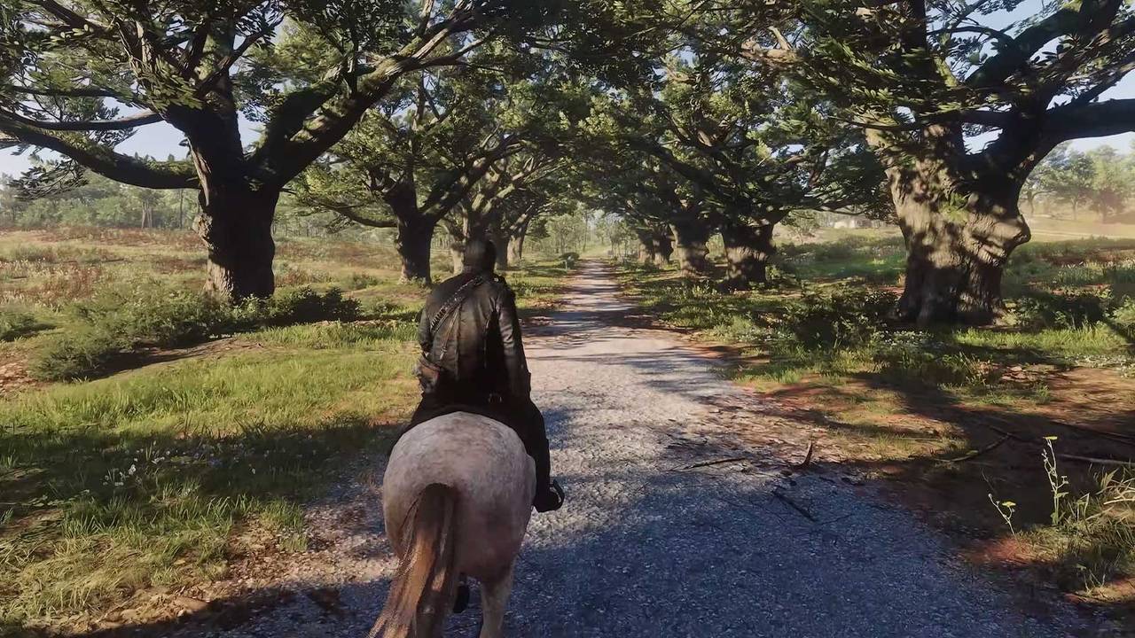 Red Dead Redemption 2 free PC remaster proves why we need a new-gen update