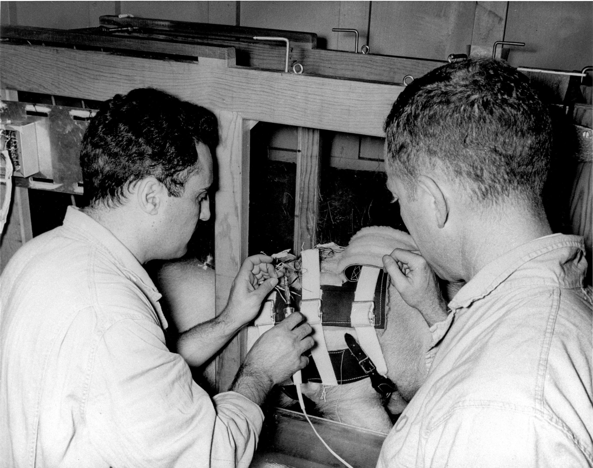 Controversial science experiments throughout history