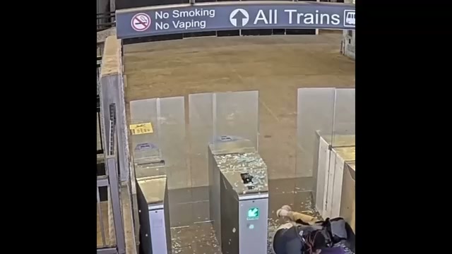 Woman smashes through train station glass panel to avoid paying fare