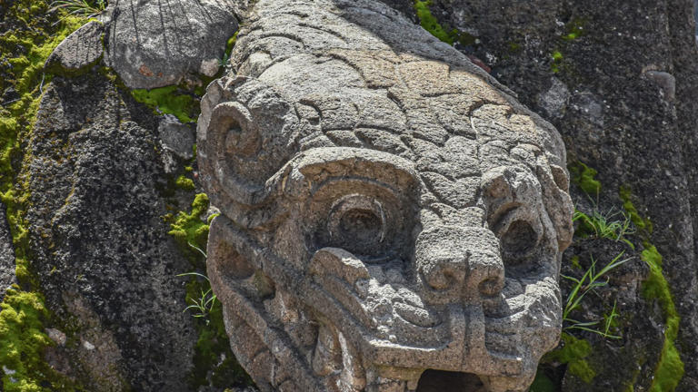 A buried Aztec offering held 4,000 sea creatures and 80 stone figures
