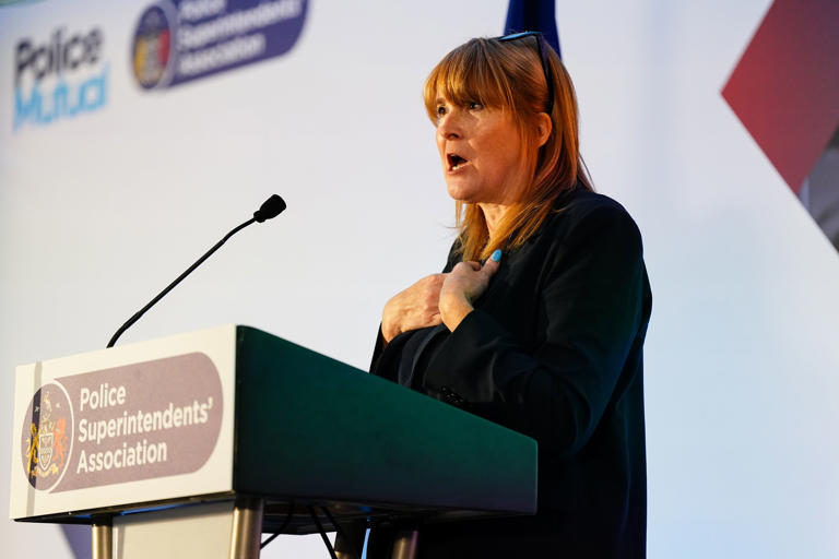 Minister Sarah Jones welcomed the figures (Jacob King/PA) (PA Archive)