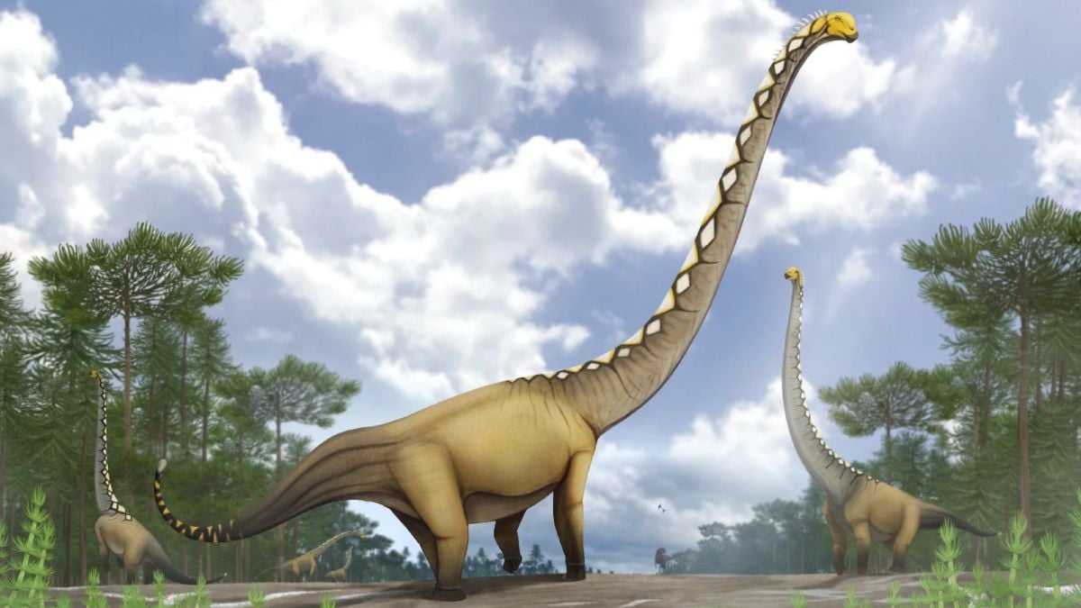 A Whole New Species of Giant Dinosaur Has Just Been Identified