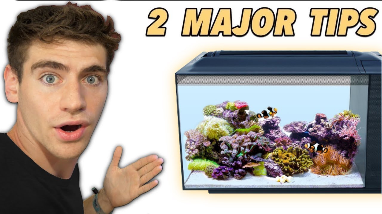 How to set up your reef tank for success!