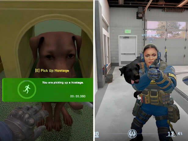 'The dogs are so cute!': Counter-Strike 2 players react to Valve's ...