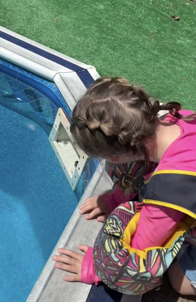 Family spots tiny hand in pool filter — and finds mystery animal clinging to life