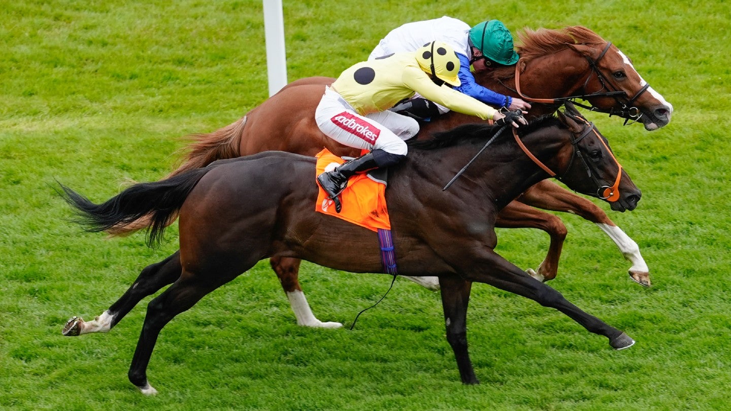 Former Liberty Media chief Maffei unveils new horse racing league