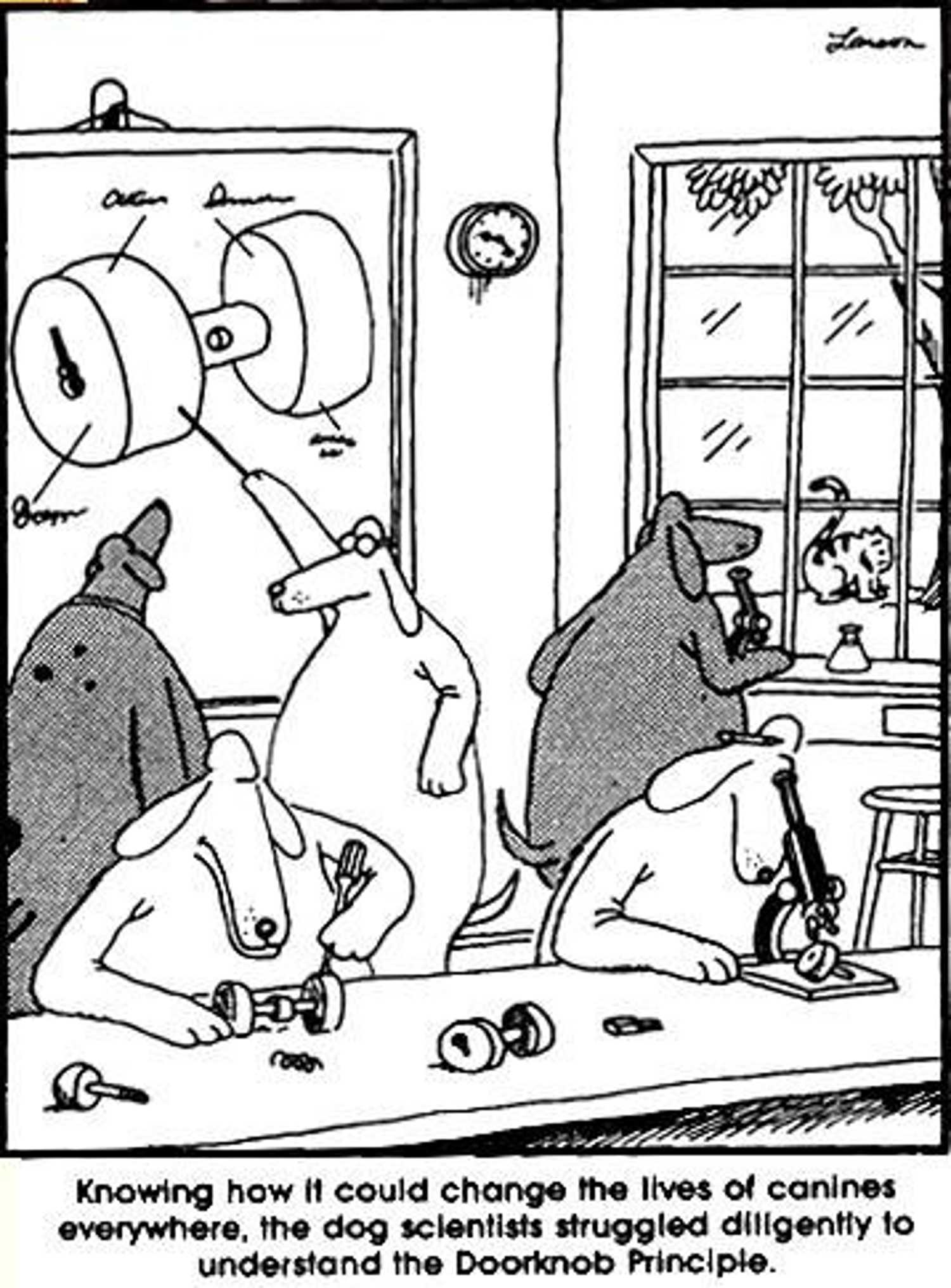 Dog scientists in The Far Side trying to study the use of door knobs.