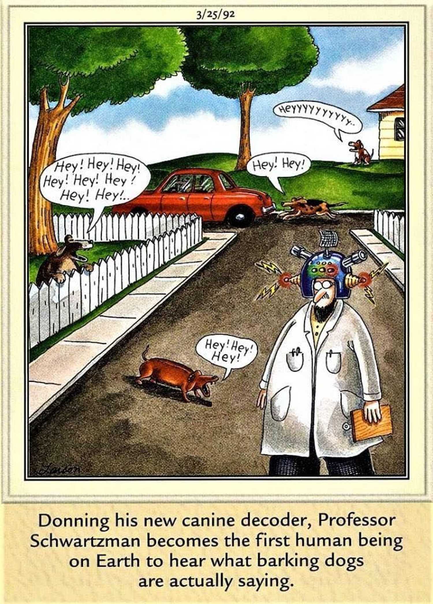 A scientist wearing a dog translator to understand the local dogs' speech