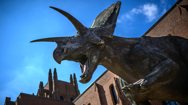 A torosaurus statue stands outside the Yale Peabody Museum with the building's historic architecture on show behind it.